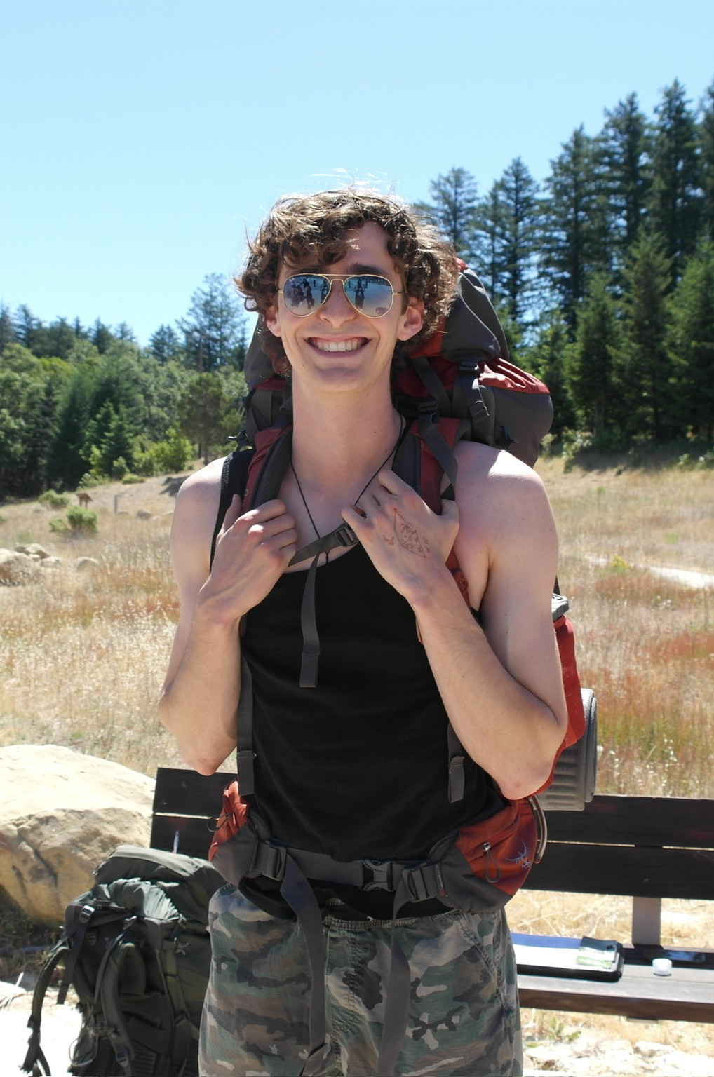 Bear Tolson