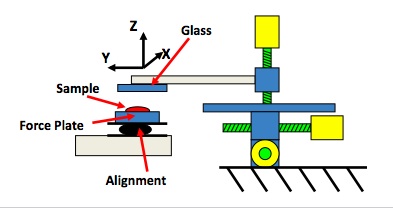 ForcePlate.jpg