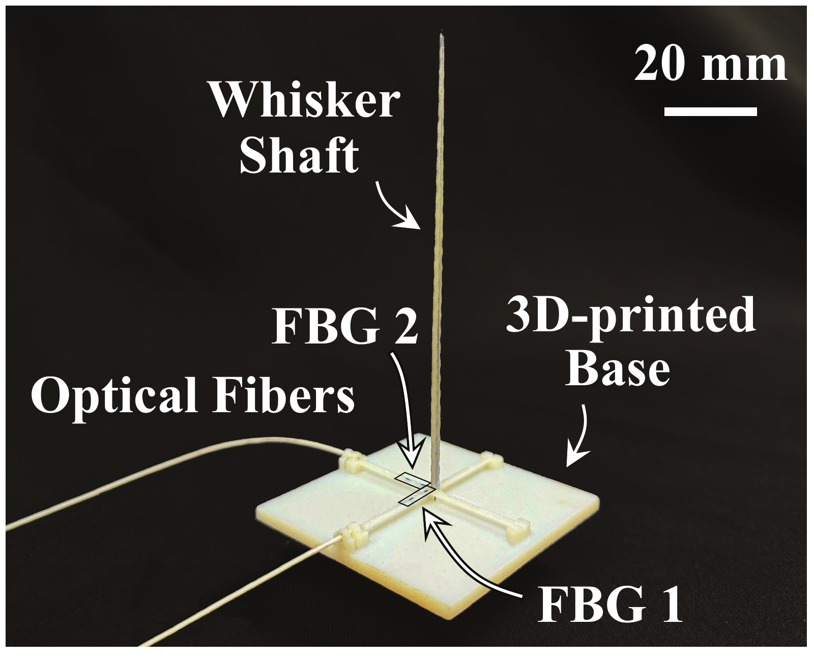 Assembled FBG whisker sensor with labeled whisker, base, and optical sensing components.